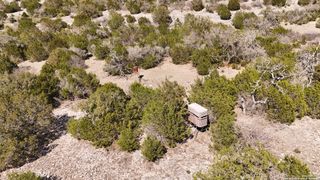 TBD Red Bluff Creek, Rocksprings, TX 78880