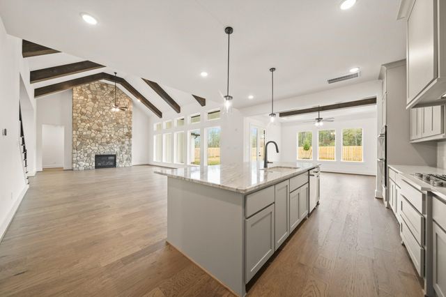 41702 Lays Court, Todd Mission, TX 77316