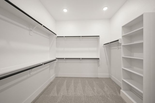 41702 Lays Court, Todd Mission, TX 77316
