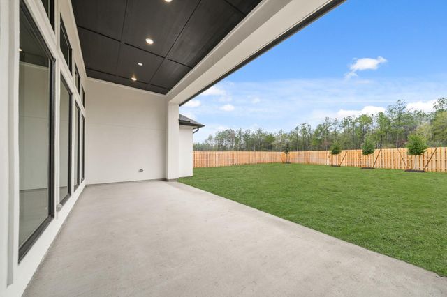 41702 Lays Court, Todd Mission, TX 77316