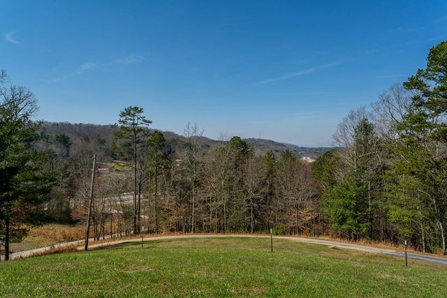 45 Turning Lay Road, Morganton, GA 30560