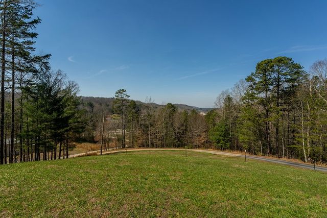 45 Turning Lay Road, Morganton, GA 30560