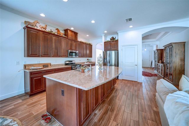 20173 UMBRIA HILL DRIVE, Tampa, FL 33647