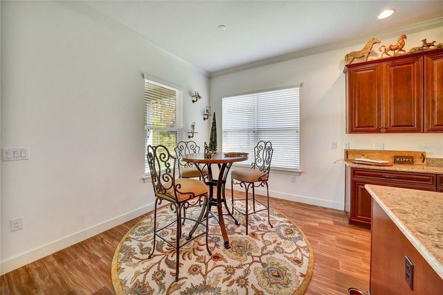 20173 UMBRIA HILL DRIVE, Tampa, FL 33647