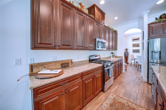 20173 UMBRIA HILL DRIVE, Tampa, FL 33647