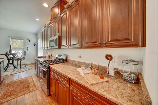 20173 UMBRIA HILL DRIVE, Tampa, FL 33647