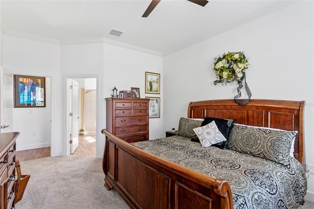 20173 UMBRIA HILL DRIVE, Tampa, FL 33647