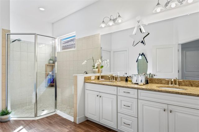 20173 UMBRIA HILL DRIVE, Tampa, FL 33647