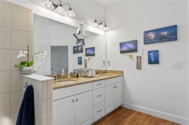 20173 UMBRIA HILL DRIVE, Tampa, FL 33647