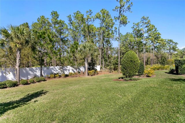 20173 UMBRIA HILL DRIVE, Tampa, FL 33647