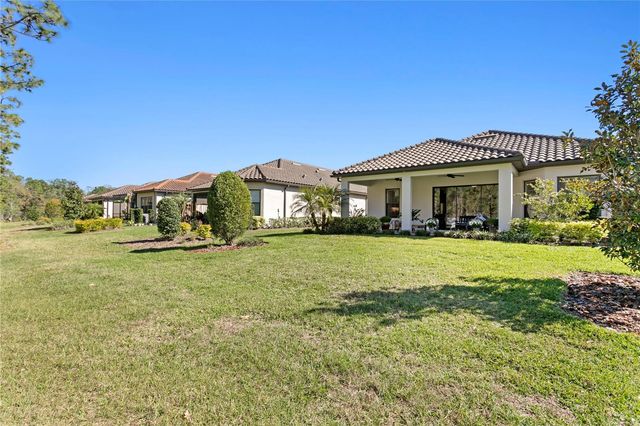 20173 UMBRIA HILL DRIVE, Tampa, FL 33647