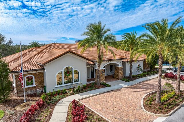 20173 UMBRIA HILL DRIVE, Tampa, FL 33647