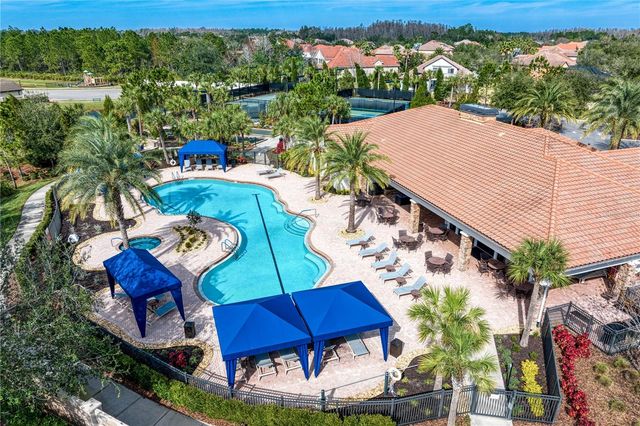 20173 UMBRIA HILL DRIVE, Tampa, FL 33647