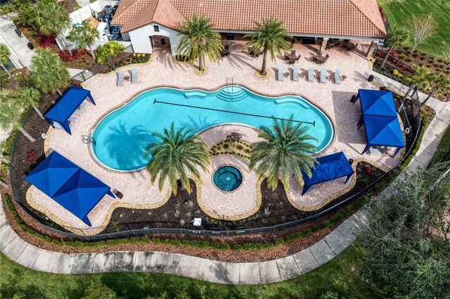 20173 UMBRIA HILL DRIVE, Tampa, FL 33647