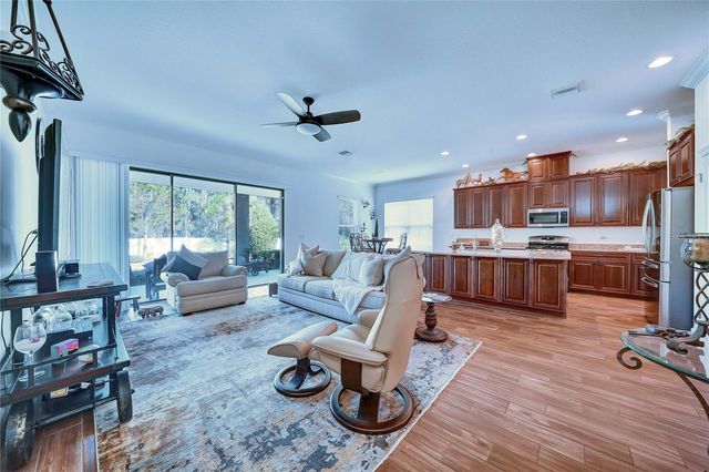 20173 UMBRIA HILL DRIVE, Tampa, FL 33647