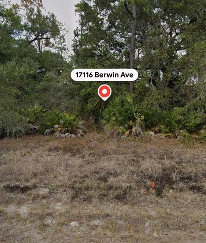 17116 BERWIN AVENUE, Port Charlotte, FL 33948