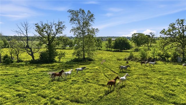 13677 N Mount Olive Road, Gravette, AR 72736