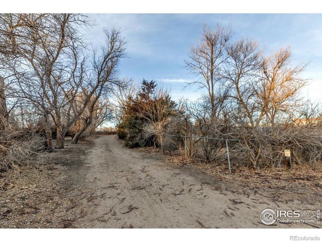 7157 Maple Street, Longmont, CO 80504