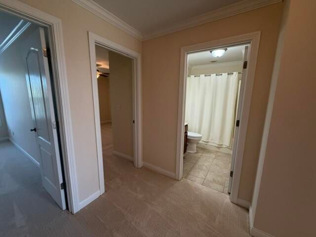 317 Hannah Todd Place 1101, Lexington, KY 40509