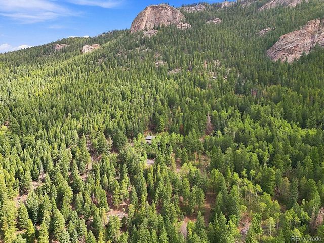 3742 Witter Gulch Rd, Evergreen, CO 80439