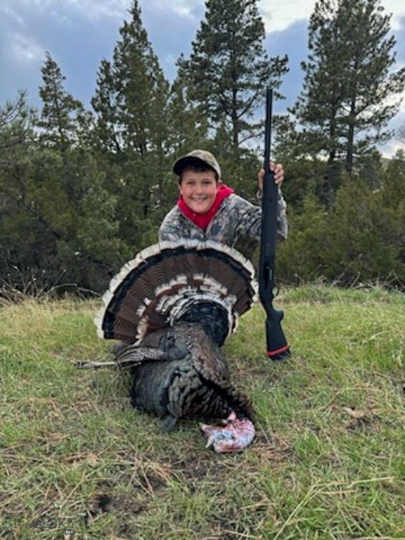 659 Deadmans Canyon Road, Big Timber, MT 59069 photo 11