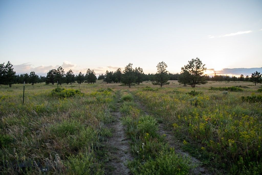 659 Deadmans Canyon Road, Big Timber, MT 59069 photo 15