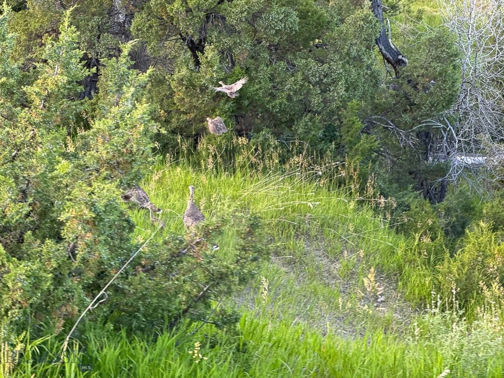 659 Deadmans Canyon Road, Big Timber, MT 59069 photo 18