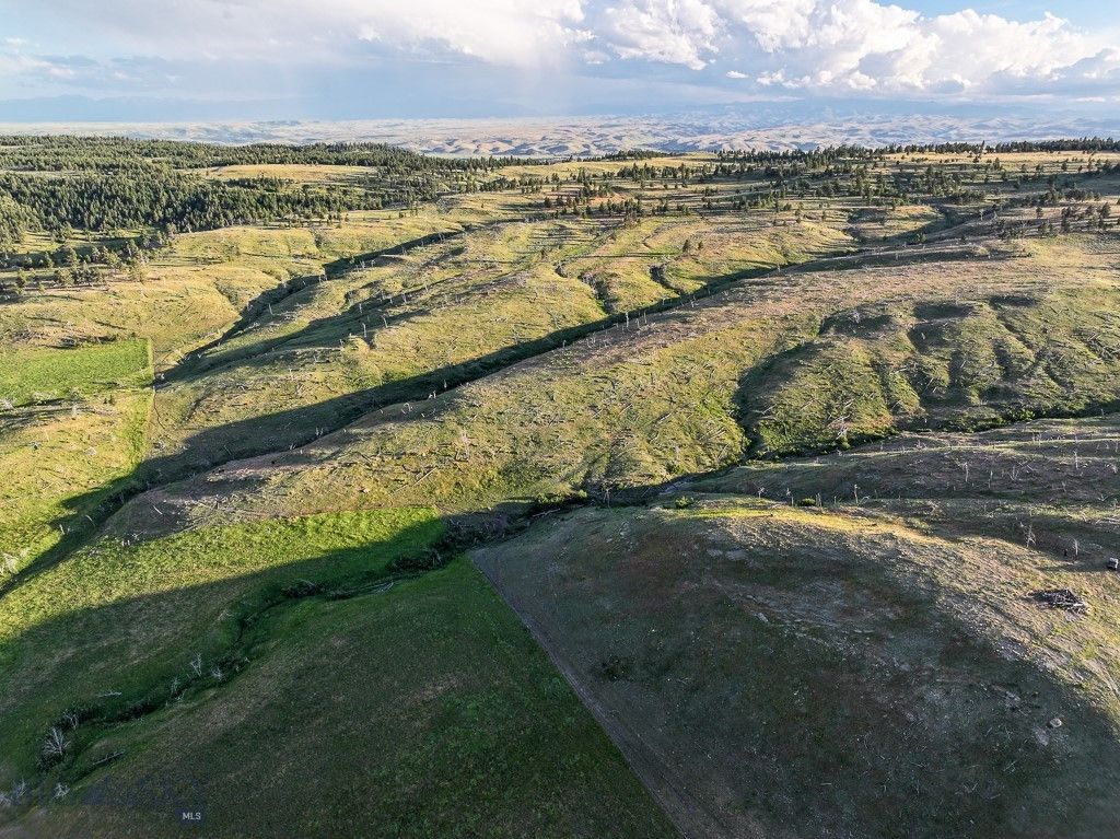 659 Deadmans Canyon Road, Big Timber, MT 59069 photo 24