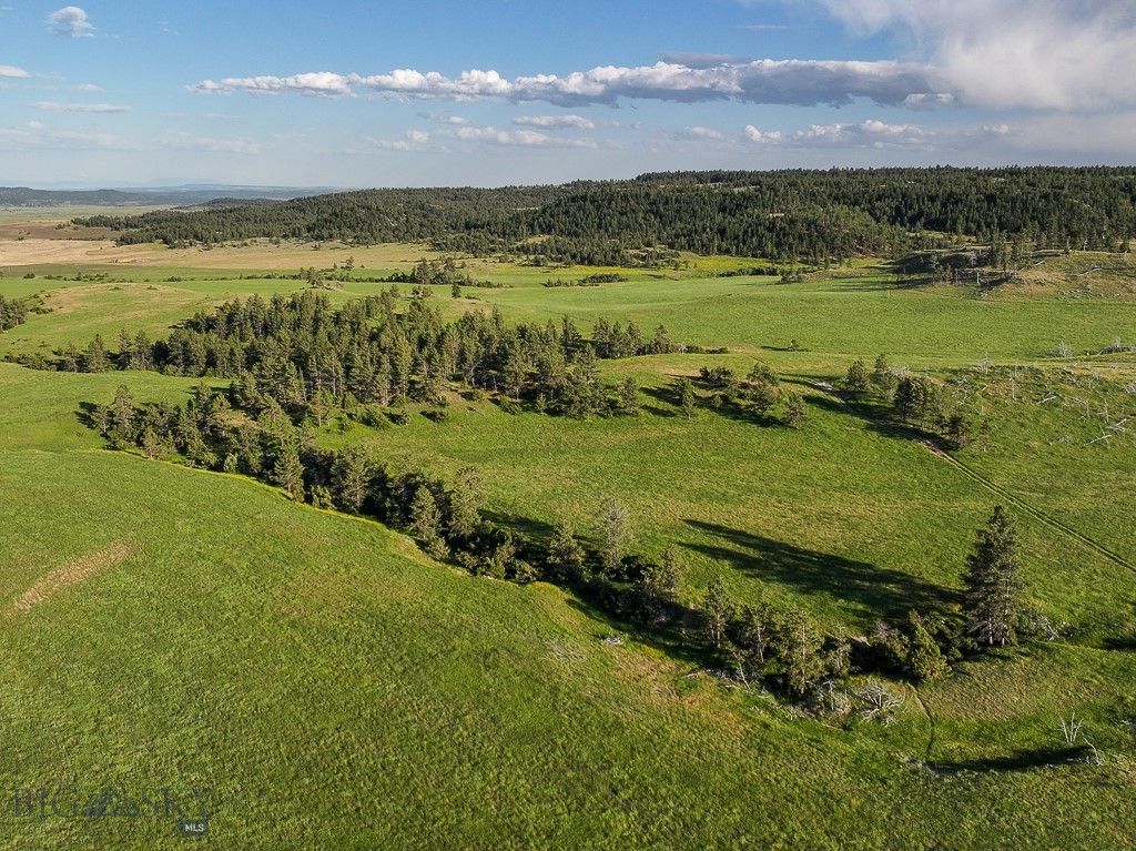 659 Deadmans Canyon Road, Big Timber, MT 59069 photo 26