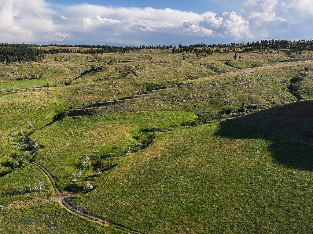 659 Deadmans Canyon Road, Big Timber, MT 59069 photo 27