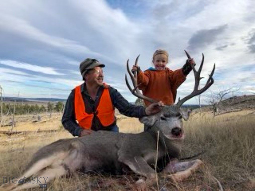 659 Deadmans Canyon Road, Big Timber, MT 59069 photo 36