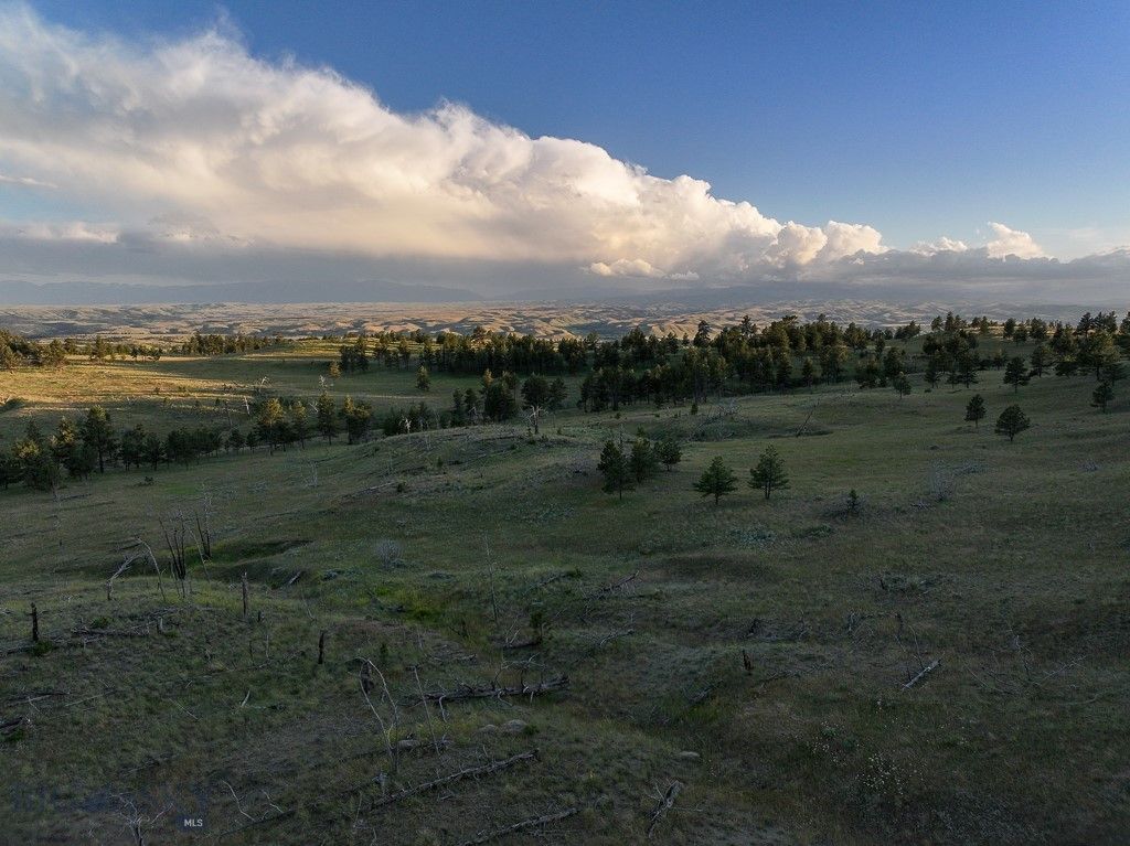 659 Deadmans Canyon Road, Big Timber, MT 59069 photo 8