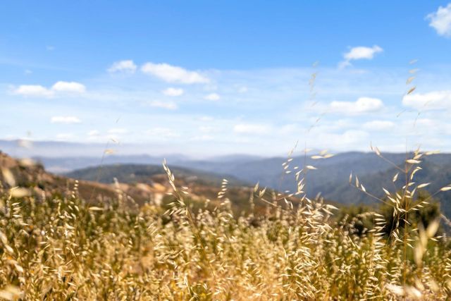 35005 Loma Chiquita Road, Los Gatos, CA 95033