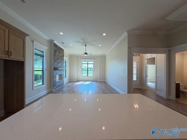 13589 Pipers Square, Athens, AL 35611