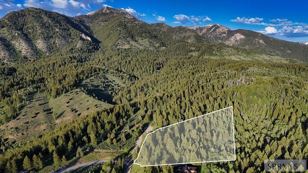 Image 11 of property listing at TBD Caribou Circle, Irwin, ID 83428