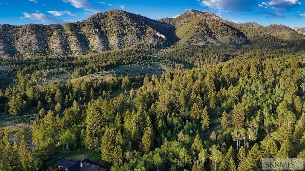 Image 15 of property listing at TBD Caribou Circle, Irwin, ID 83428