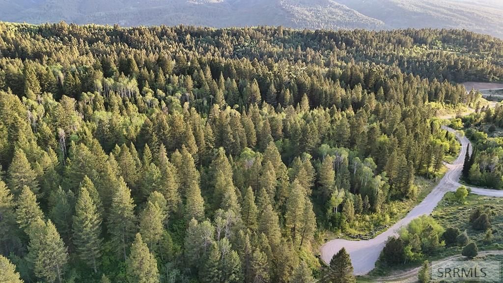 Image 18 of property listing at TBD Caribou Circle, Irwin, ID 83428