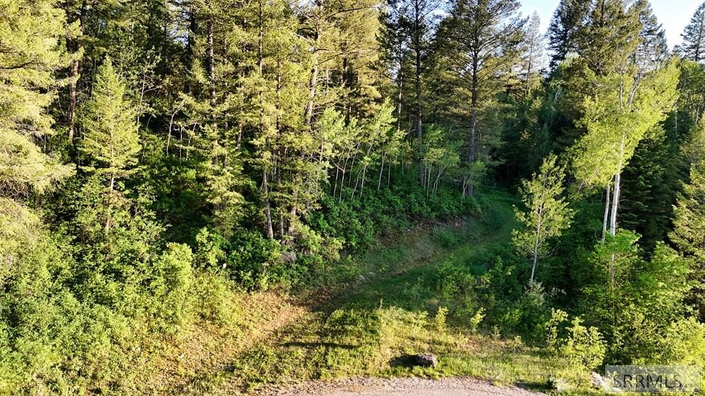 Image 19 of property listing at TBD Caribou Circle, Irwin, ID 83428