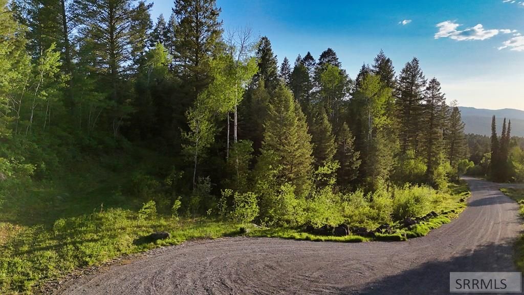 Image 20 of property listing at TBD Caribou Circle, Irwin, ID 83428