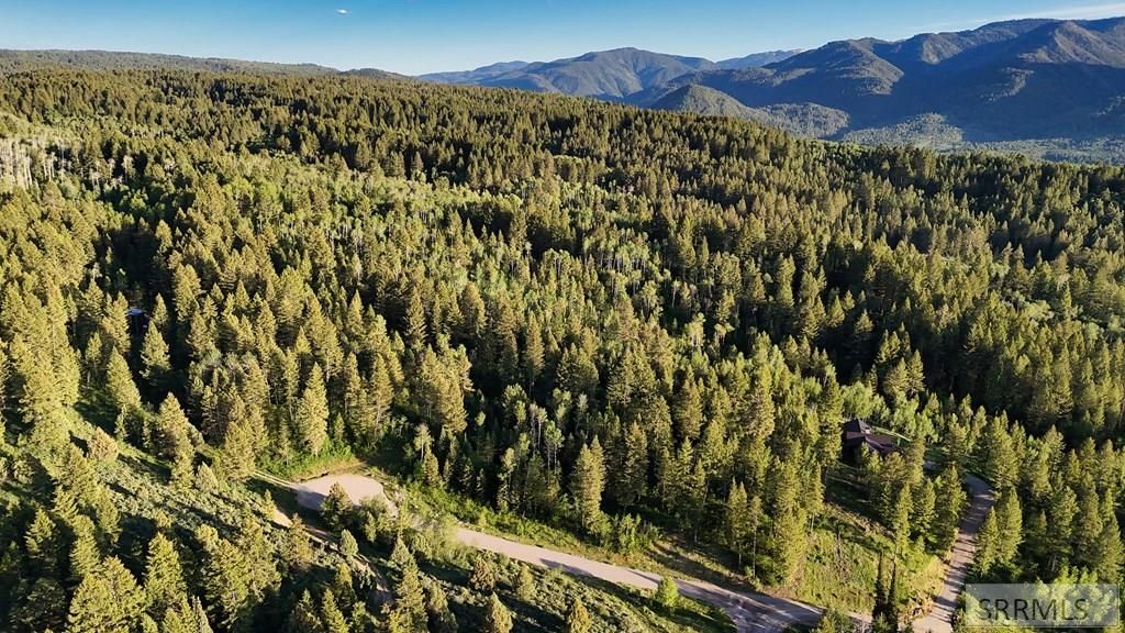 Image 4 of property listing at TBD Caribou Circle, Irwin, ID 83428