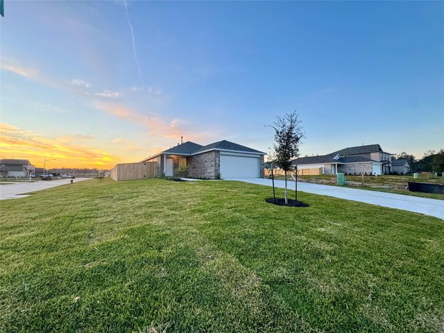 16734 Largetooth Aspen Lane, New Caney, TX 77357