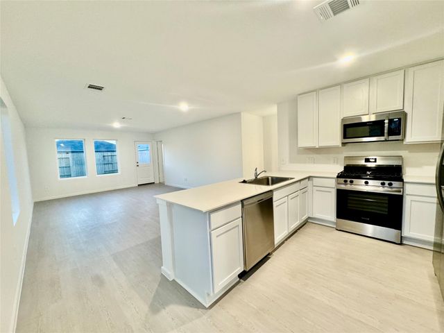 16734 Largetooth Aspen Lane, New Caney, TX 77357