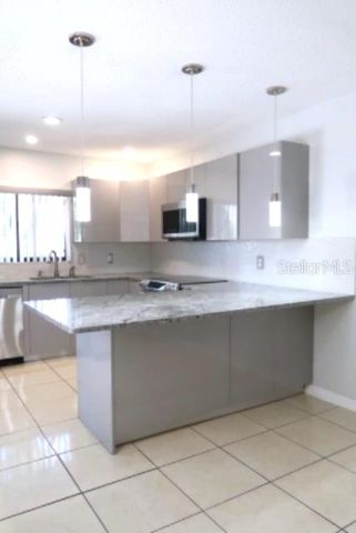 15202 E POND WOODS DRIVE 9, Tampa, FL 33618