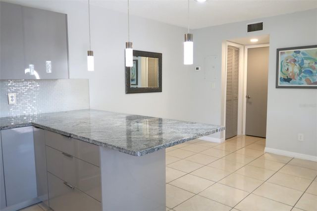 15202 E POND WOODS DRIVE 9, Tampa, FL 33618