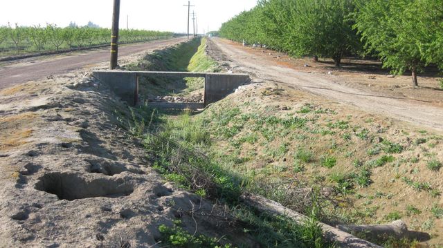 15270 S Mccall Avenue, Kingsburg, CA 93631