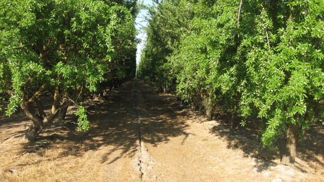 15270 S Mccall Avenue, Kingsburg, CA 93631