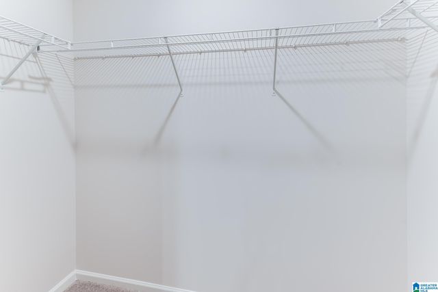 184 BUCKHORN LANE, Lincoln, AL 35096