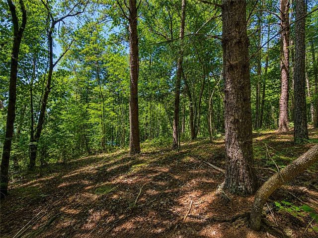 1652 Sable Court, Talking Rock, GA 30175