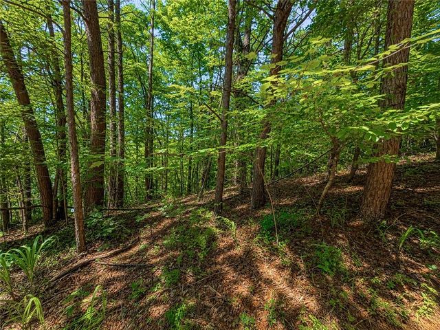 1652 Sable Court, Talking Rock, GA 30175