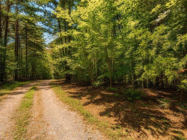 1652 Sable Court, Talking Rock, GA 30175